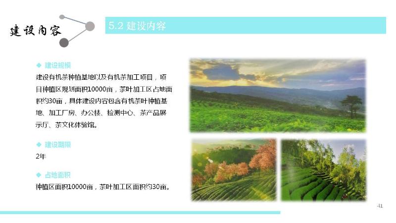 南涧县无量山有机生态茶叶种植及加工项目