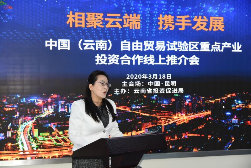 中国（云南）自由贸易试验区重点产业 投资合作线上推介会成功举办