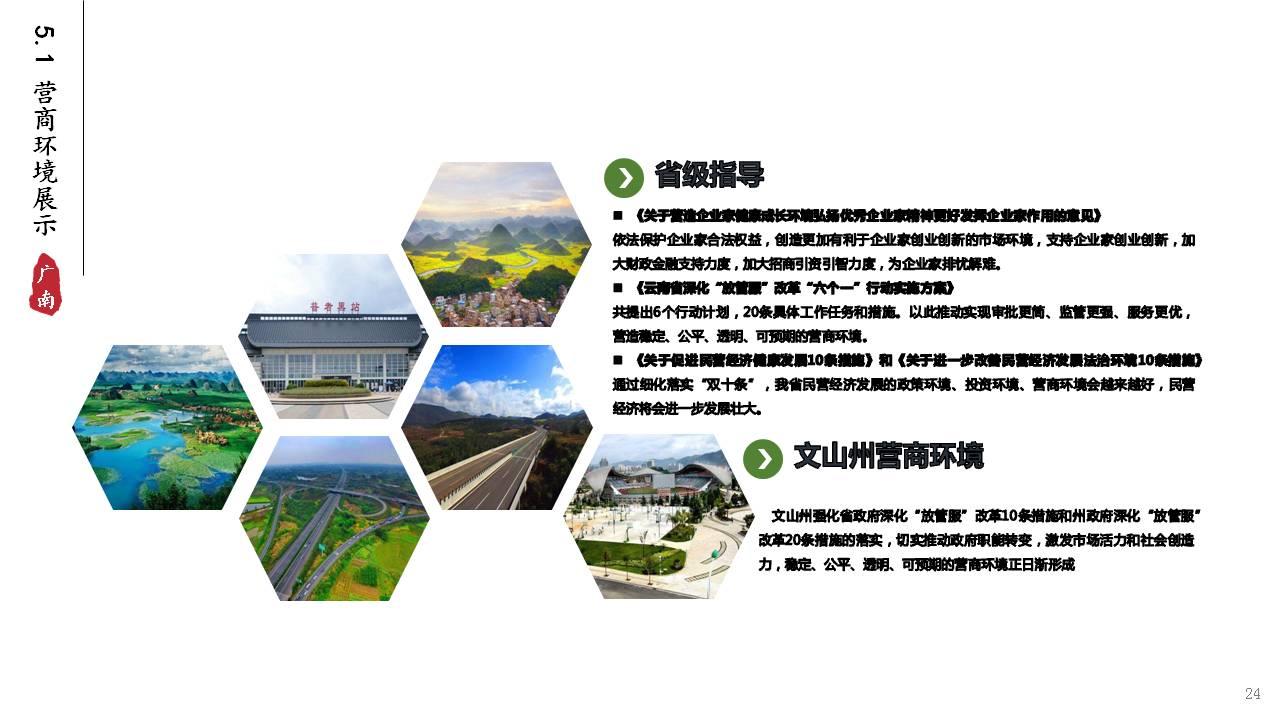 广南县茶产业精深加工与品牌战略合作推广综合发展项目