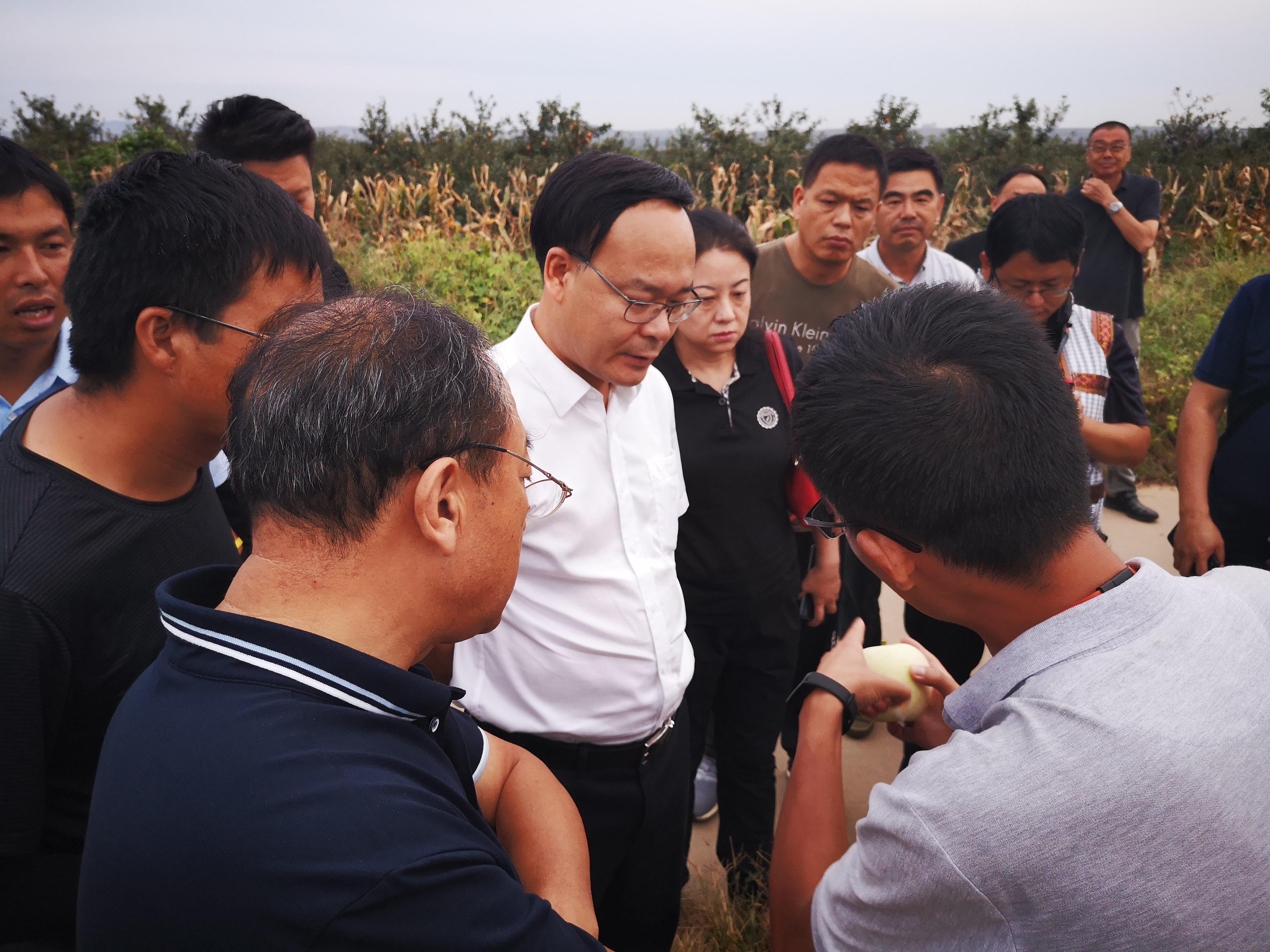 阮凤斌副局长率队赴山东拜访重点企业并出席2019亚洲农业与食品产业博览会