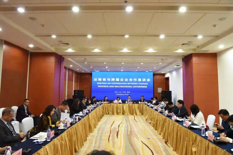 云南省投资促进局在渝召开跨国公司合作恳谈会